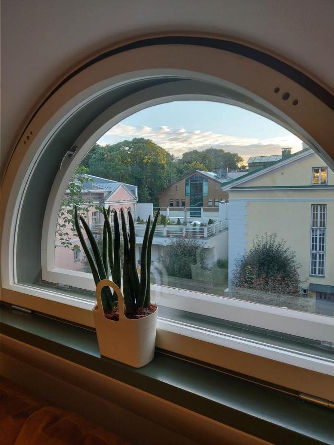 Appartement Modern History *